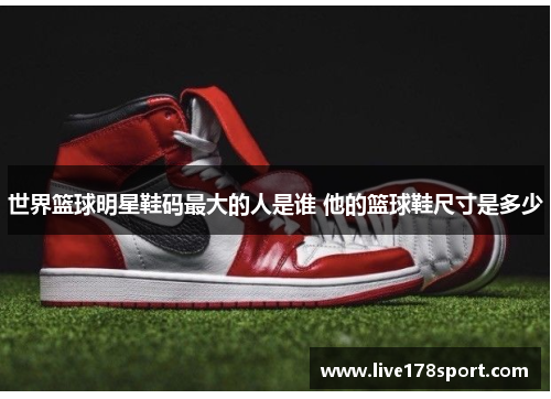 世界篮球明星鞋码最大的人是谁 他的篮球鞋尺寸是多少