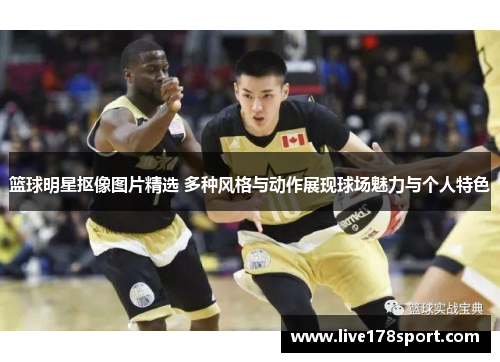 篮球明星抠像图片精选 多种风格与动作展现球场魅力与个人特色