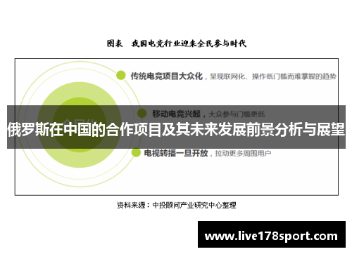 俄罗斯在中国的合作项目及其未来发展前景分析与展望